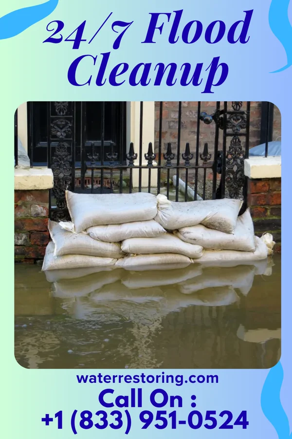 24/7 Flood Cleanup in Ronceverte, WV