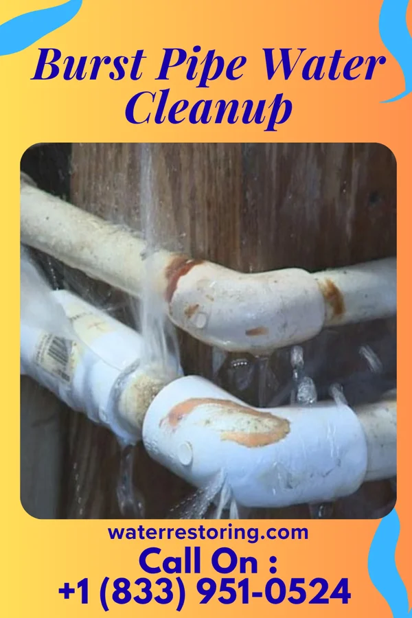 Burst Pipe Water Cleanup in Ronceverte, WV
