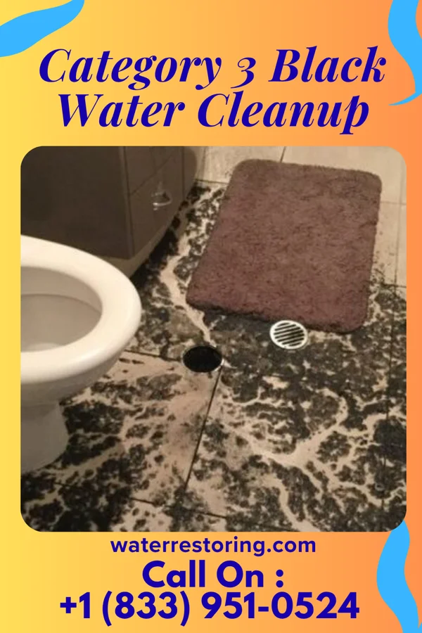 Category 3 Black Water Cleanup in Ronceverte, WV