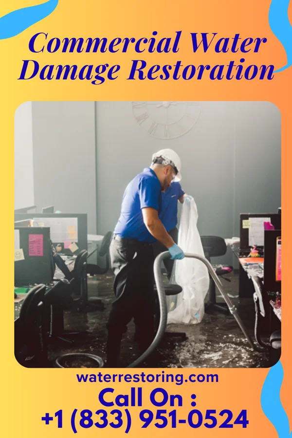 Commercial Water Damage Restoration in Ronceverte, WV