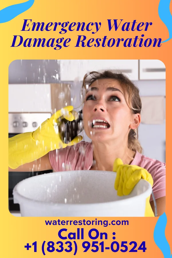 Emergency Water Damage Restoration in Ronceverte, WV