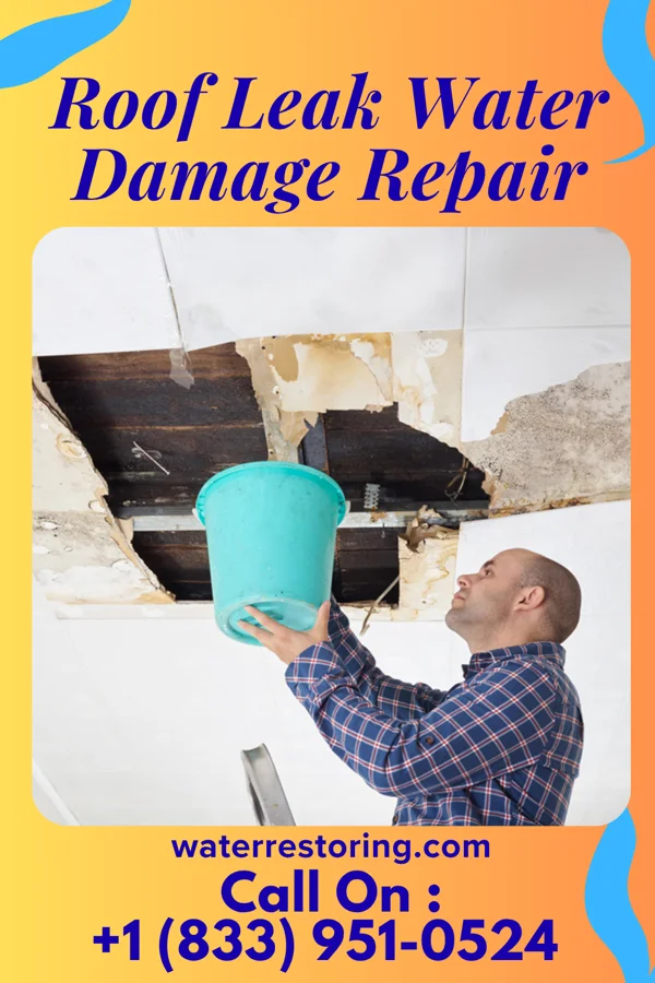Roof Leak Water Damage Repair in Ronceverte, WV