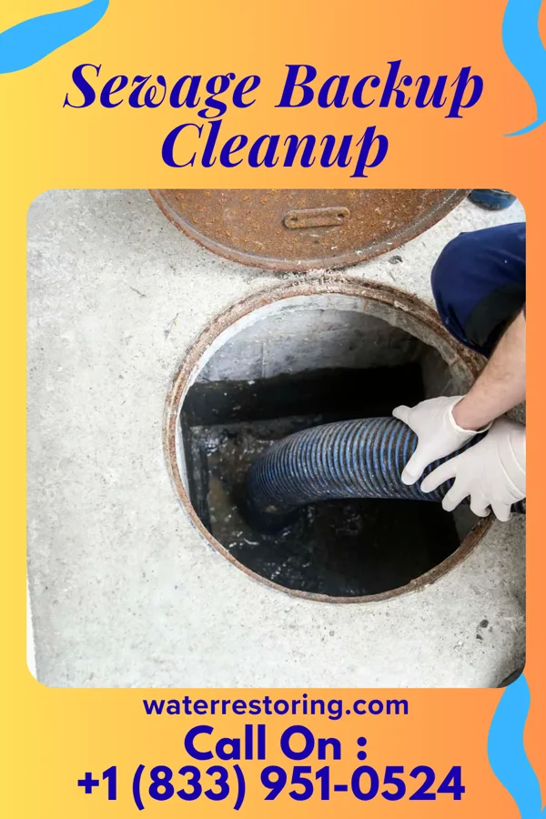Sewage Backup Cleanup in Ronceverte, WV