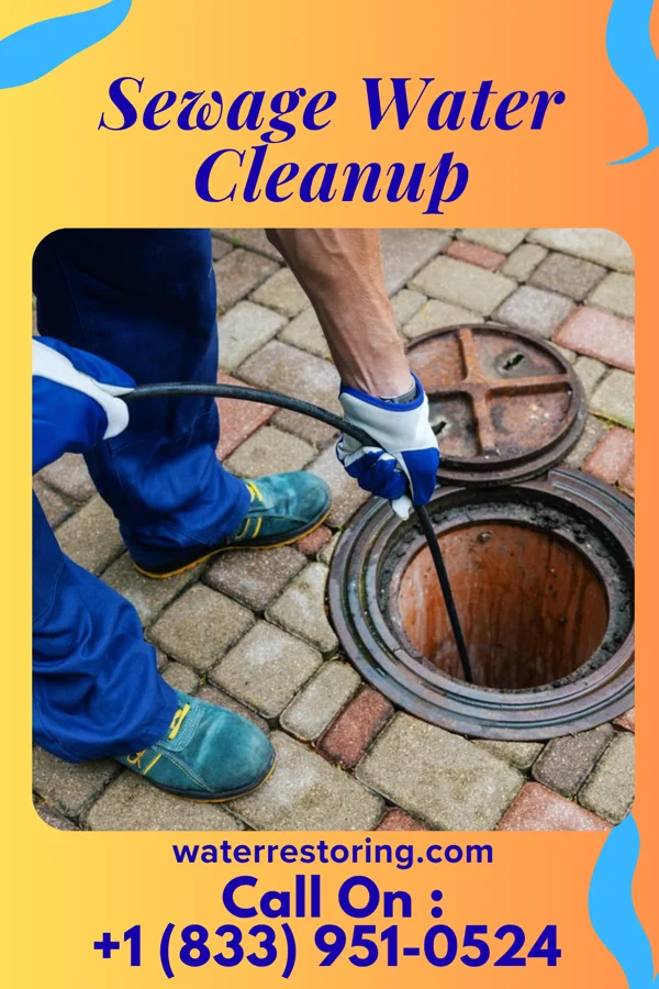 Sewage Water Cleanup in Ronceverte, WV