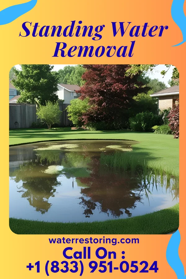 Standing Water Removal in Ronceverte, WV